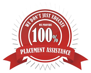 100 Hour Placements - Sheffield Students' Union